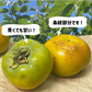 太秋柿 和歌山県産 約1kg (４〜５玉) ご家庭用 甘柿 送料無料 柿 たいしゅう