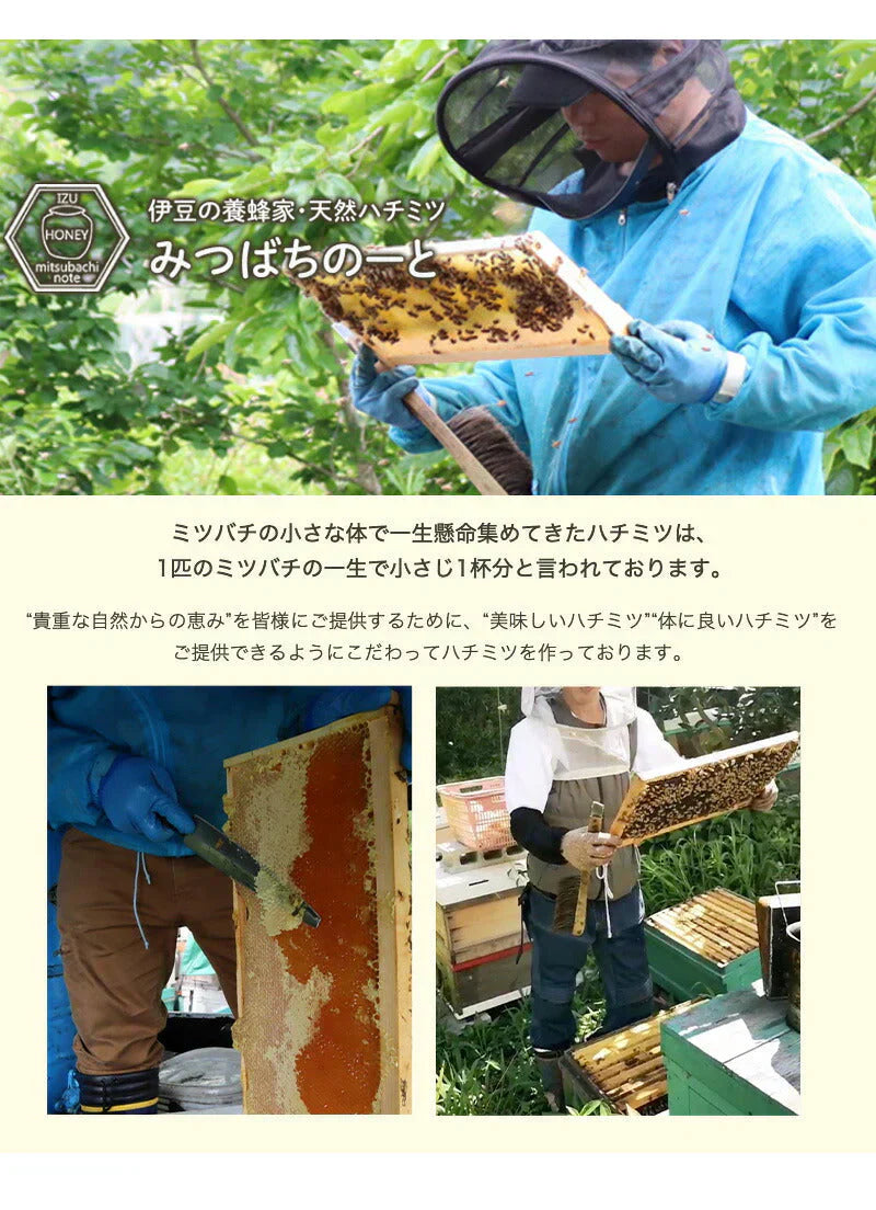 国産 天然ハチミツ　花々の雫 パウチタイプ 90g 非加熱 はちみつ 蜂蜜 ギフト 瓶詰 国産蜂蜜
