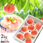 【8月中旬頃-9月中旬頃ご注文受付順次】白桃 約2kg 6-8玉前後 化粧箱 ギフト 秀品 贈り物 桃 モモ ピーチ 山形産 産地直送