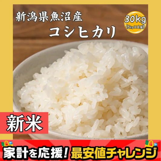 【白米】令和7年産 魚沼産 コシヒカリ 30kg(5kg×6袋) 精白米 国産 国産コシヒカリ100％ 送料無料 精米工場からの直送品