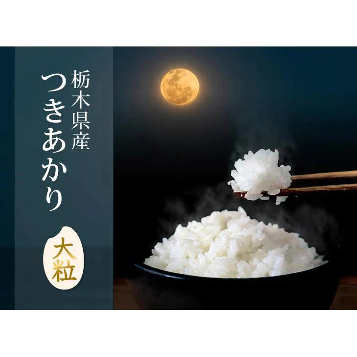 つきあかり 30kg(10kg＊3) 送料無料 新米 令和5年 栃木県産 お米