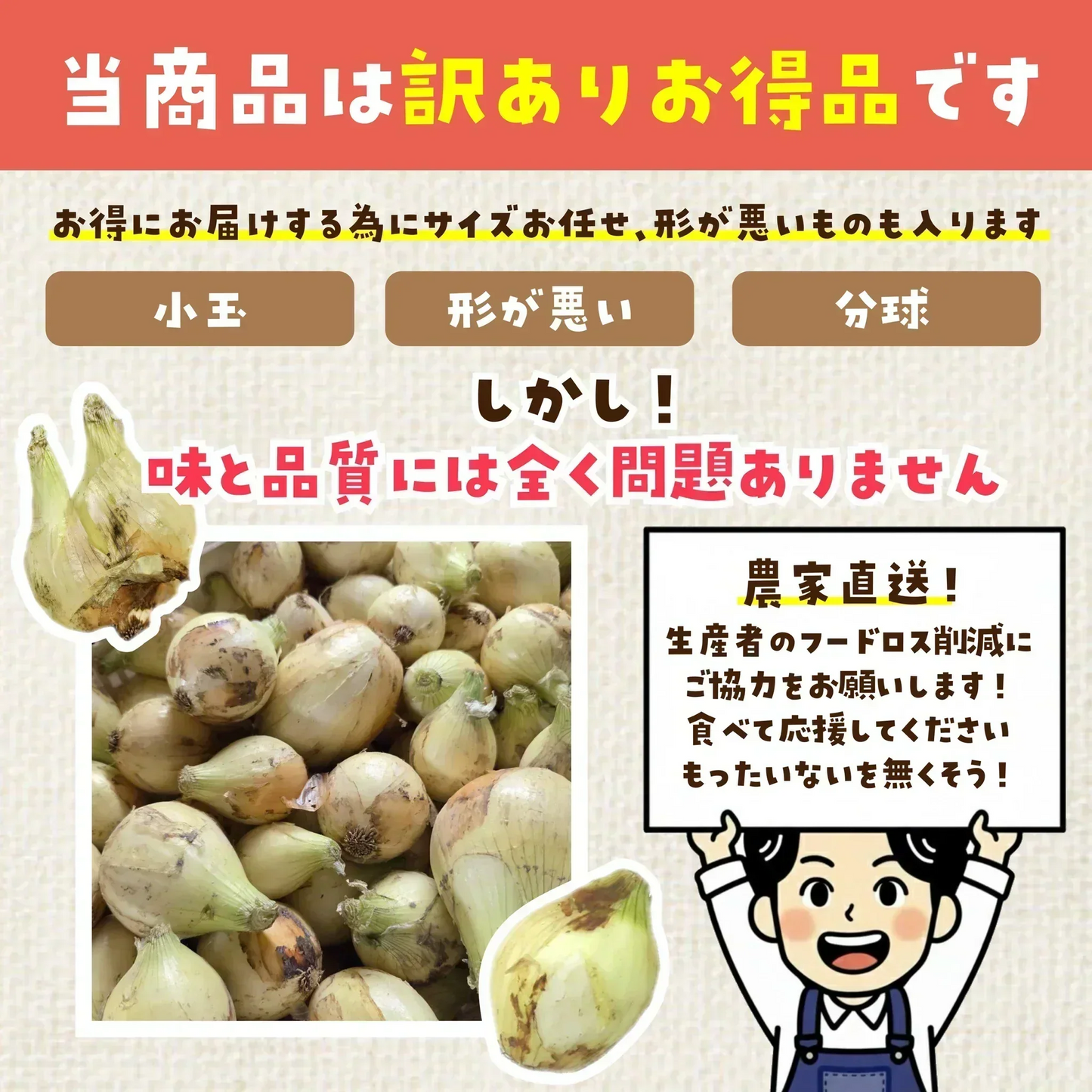 予約【6月30日までに注文順に発送】旬のトロ甘「新玉ねぎ」をたっぷりお届け！約1.9㎏（最低1800g保証）農家直送【九州～関西～関東～北陸 発送可】【カウシェファーム収穫対象商品】送料無料