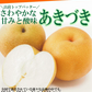 福島県産　梨　なし　5kg箱　★秀品★品種おまかせ
