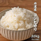 【白米】 令和7年産 丹波産 コシヒカリ 30kg(5kg×6袋) [丹波産コシヒカリ100％] 兵庫県産 単一原料米 送料無料 精米工場からの直送品