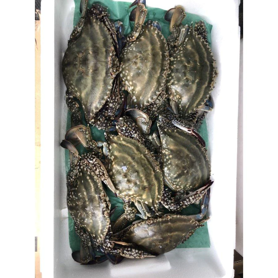 北海道産 内子入り ワタリガニ 2杯