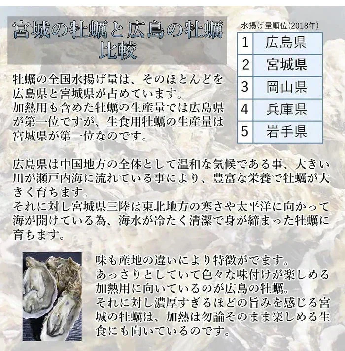 生食 OK カキみちのく 三陸産 殻付き 生牡蠣 10kg（60～100個） 今季初出し 希少 数量限定 送料無料 亜鉛の摂取源No.1 新鮮 石巻 宮城 産地直送 ミネラル アミノ酸 タウリン たっぷり 贈り物