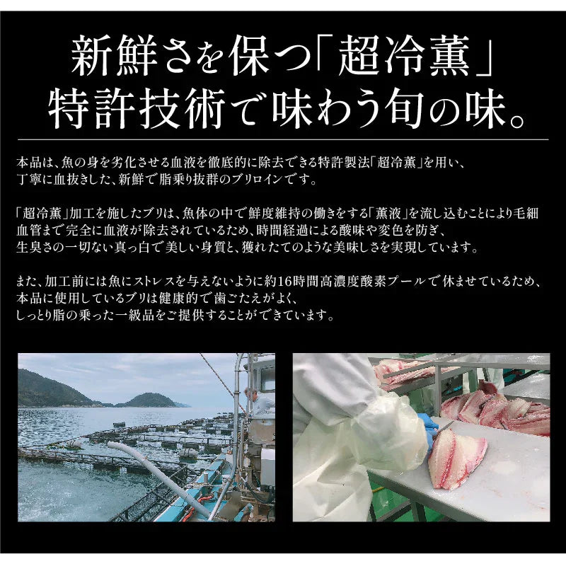 ぶり 刺身 ブリ ロイン 500g 超冷薫 業務用 愛媛県産 鰤 海鮮 お刺身 刺し身 柵 さくさしみ 切り身 お取り寄せ グルメ 寿司 和食 ブリしゃぶ 海鮮 冷凍
