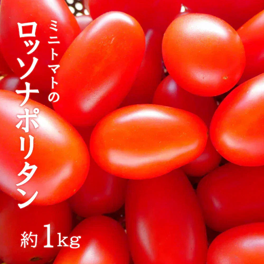 【8月初旬から発送】ミニトマト ロッソナポリタン 1kg イタリアントマト フルーツトマト 高糖度トマト とまと 山形県産