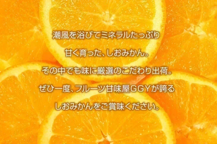 【11月上旬頃～12下旬頃順次発送】しおみかん  5kg みかん 熊本産 訳あり ご家庭用 80サイズ