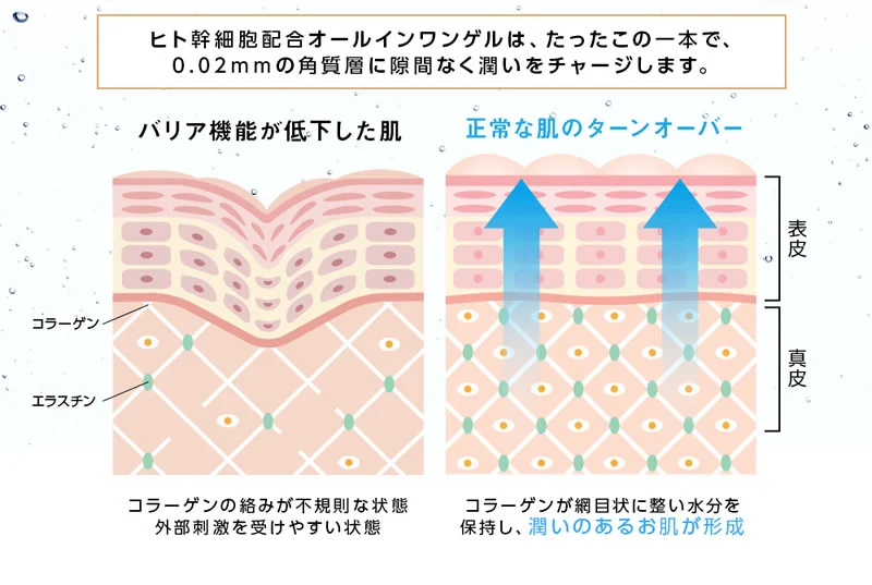 ヒト幹細胞 オールインワン ゲル 美容液 ヒト幹細胞培養液 ヒトカン 化粧水 乳液 クリーム パック【HITO-KAN Premium All in One Gel270g】