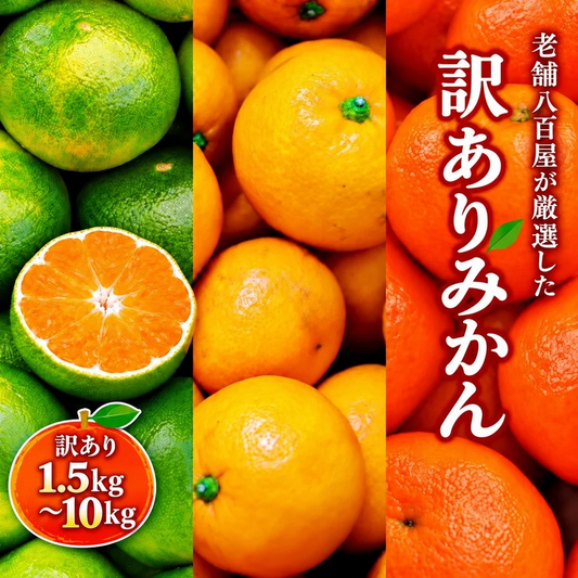 [みさわのやさい]  有田みかん 10kg 訳あり みかん < 老舗八百屋が厳選した > 和歌山県産 ご家庭用 不揃い 蜜柑