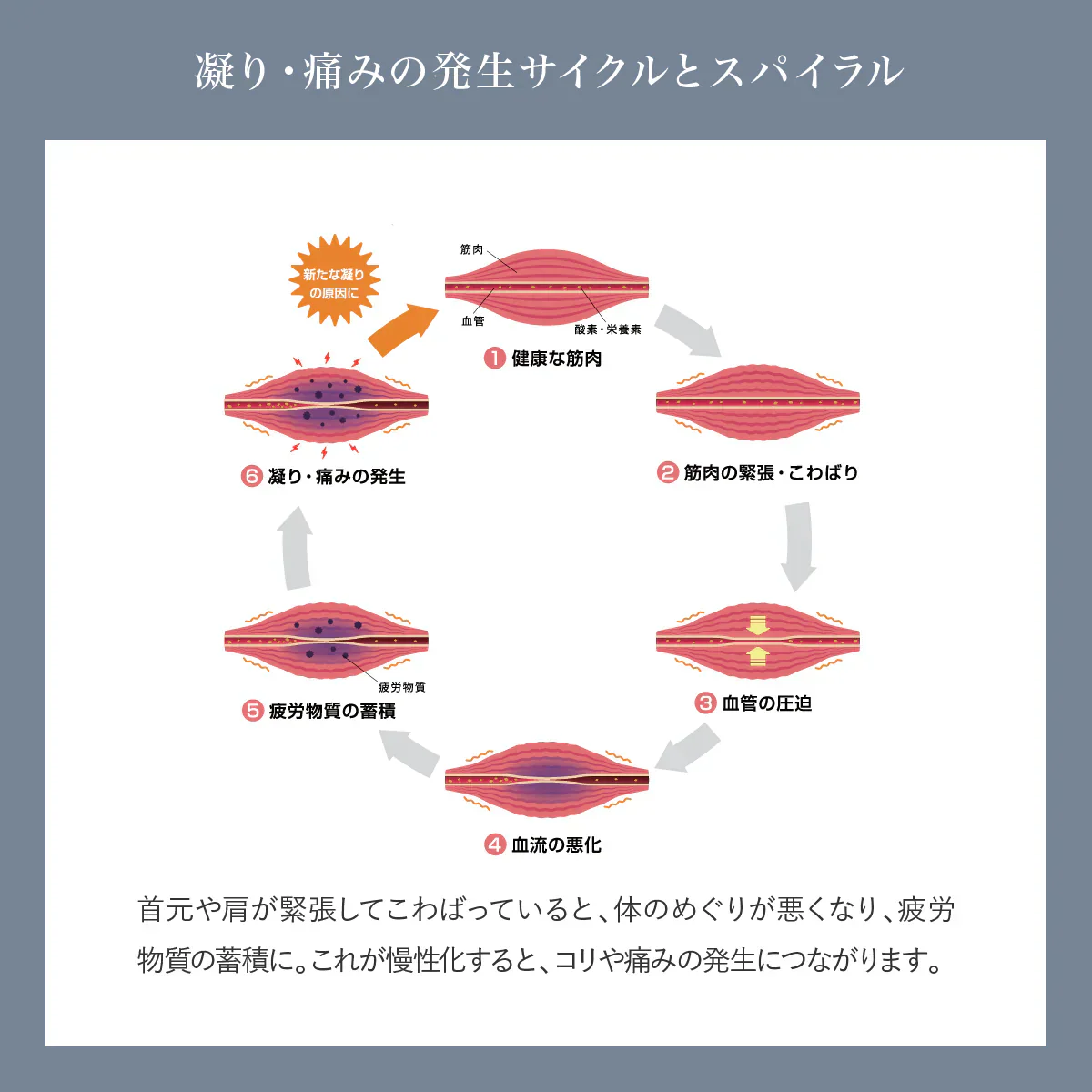 【WAVEWAVE FascialReleaseGun-Little・ブラック】小さいけれどハイパワー！5段階の振動レベルで全身にアプローチ 重さ約230g リリースガン リトル 筋膜リリース ハンディガン リラックス マッサージ用品 ハンディマッサージ 簡易マッサージグッズ コンパクトサイズ ピンポイント