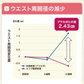 【最短当日出荷】機能性表示食品 プーアール茶 ヘルシーボ 30個入 ( 肥満気味の方 体重 ウエスト 体脂肪 血中中性脂肪 BMI 内臓脂肪 サポート エラグ酸 ザクロ エキス ダイエット サポート ダイエット茶 健康茶 ティーバッグ ティーライフ )