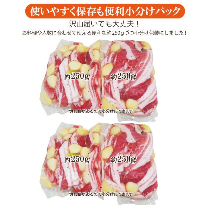 フライパン簡単調理！塩だれ国産豚肉とまるごとにんにく炒めセット1kg（250g×4パック）