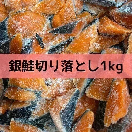 【数量限定】銀鮭切り落とし1kg