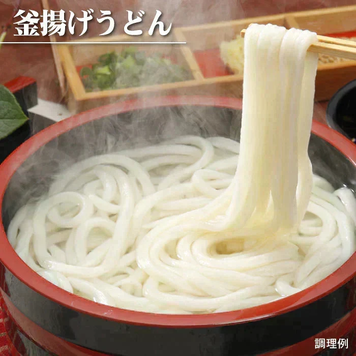 【グルメ大賞受賞】【訳あり】半生讃岐うどん 約10人前【半生麺】【並麺】【特産品・ご当地特集】