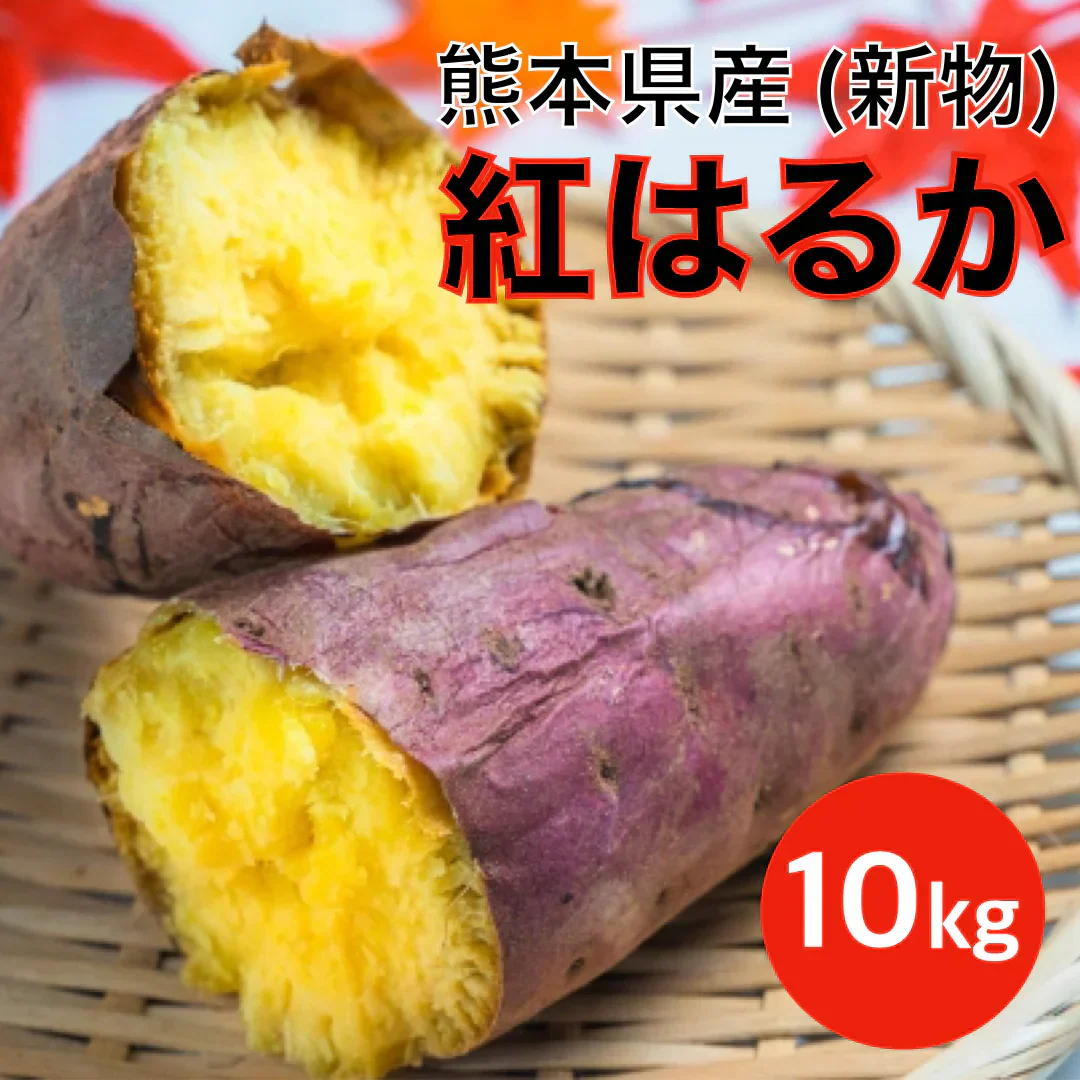 訳あり 紅はるか 箱込10キロ(9kg+保証分500g) 新物 サイズおまかせ さつまいも 蜜芋 熊本産 送料無料