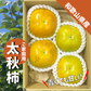 太秋柿 和歌山県産 約1kg (４〜５玉) ご家庭用 甘柿 送料無料 柿 たいしゅう