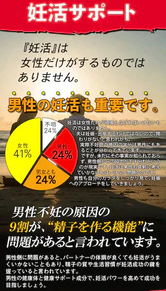 【大容量★約6ヶ月分】healthylife マカ・亜鉛＋アルファ【男性の元気と妊活に！】大容量360粒 マカ 亜鉛で +アルファ シトルリン アルギニン 発酵黒にんにく クラチャイダム トンカットアリ マムシ すっぽん 冬虫夏草 活力 精力 活気 気力 元気 ハリ 健康 男性健康 サポート 男性 元気が出ない男性 スタミナに自信がない男性 夫婦生活にハリを取り戻したい男性 秋マカ 黒マカ ペルーマカ マカ 日本製 国産 おすすめ 人気 ランキング 効果 健康サプリ 健康食品