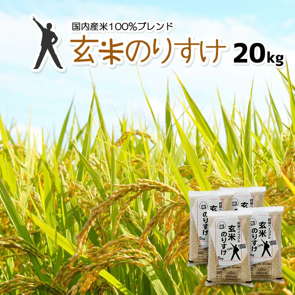 玄米 20kg (5kg×4袋) 玄米のりすけ 国内産 送料無料 玄米20キロ こめ コメ お米 お米20kg お米20キロ