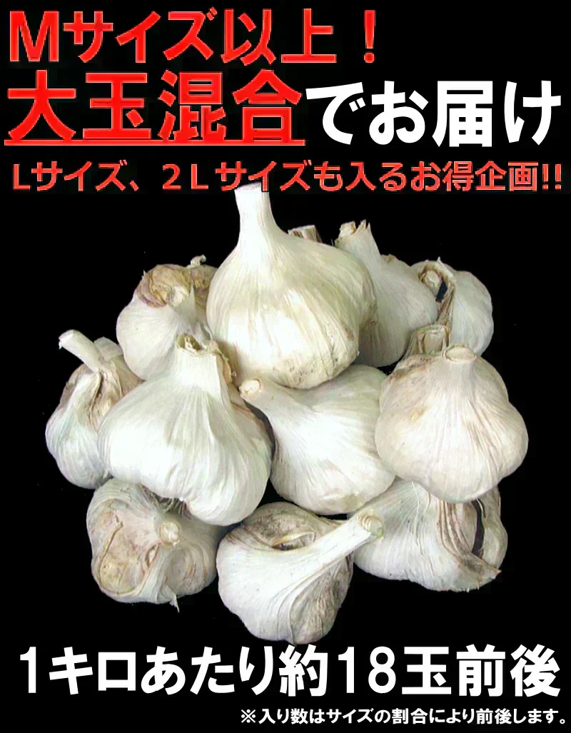 【新物】令和8年産 青森県産にんにく 5kg 訳あり C品 Mサイズ以上大玉混合 福地ホワイト六片種