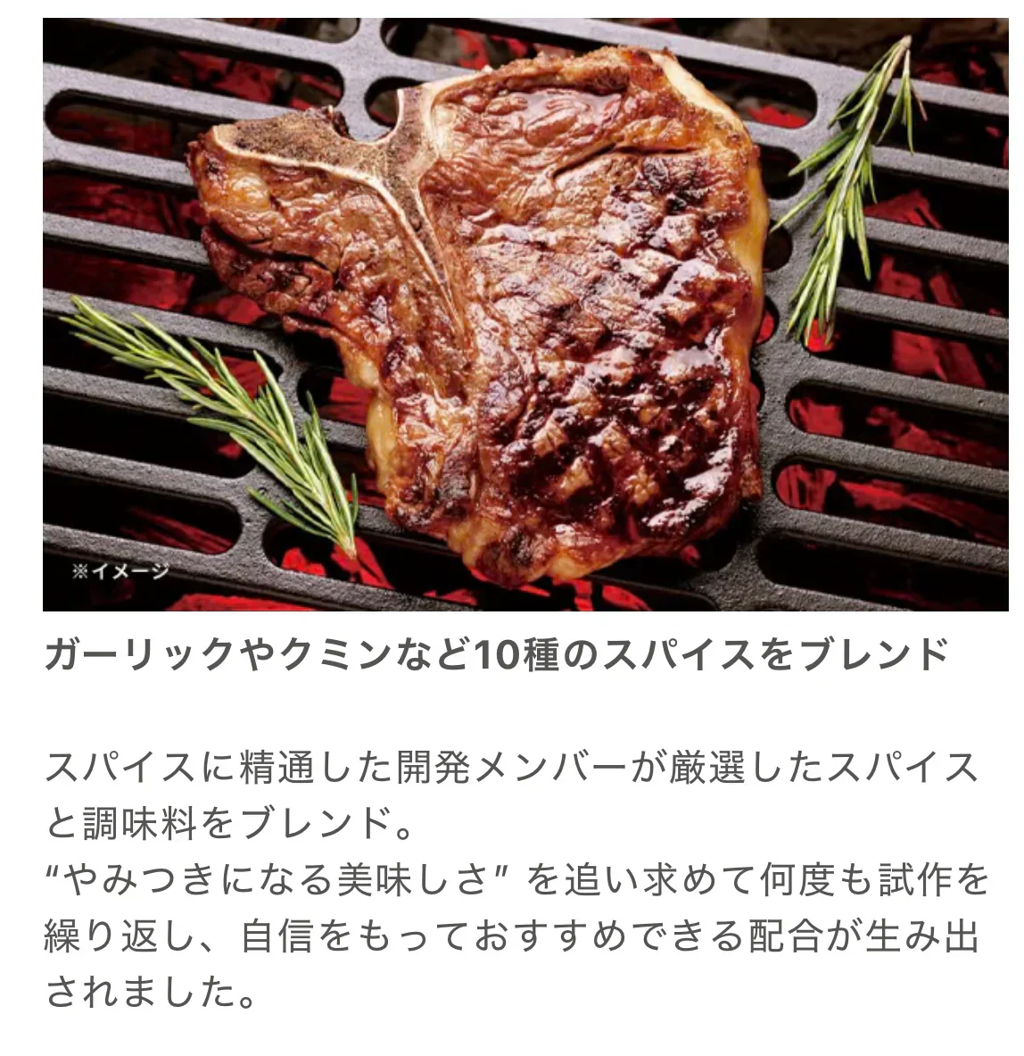 賞味期限間近SALE！やみつきスパイス ガーリック風味 YAMITSUKI GARLIC SPICE（50g）Arizona Lab アリゾナラボ にんにくスパイス 賞味期限25.01.04(やみつきスパイスガーリック)