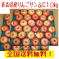 青森県産　りんご　　訳あり　ご家庭用　　有袋ふじ　小玉　10ｋｇ　送料無料！