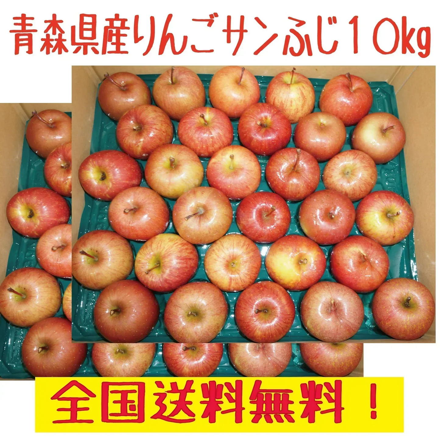 青森県産　りんご　　訳あり　ご家庭用　　有袋ふじ　小玉　10ｋｇ　送料無料！