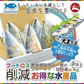 ◆フードロス削減◆訳あり◆1枚200gの国産鯖使用🐟 特々大しめさば 5種セット プレーン／昆布〆／炙り／かぶら漬け／柚子風味