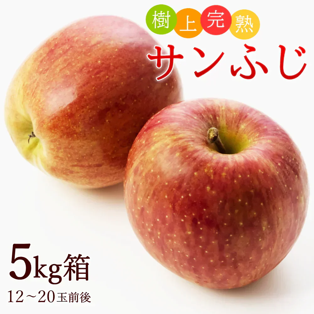 【12月上旬-下旬頃ご注文受付順次】サンふじりんご　約5kg箱　12-20玉前後 樹上完熟りんごを産地直送