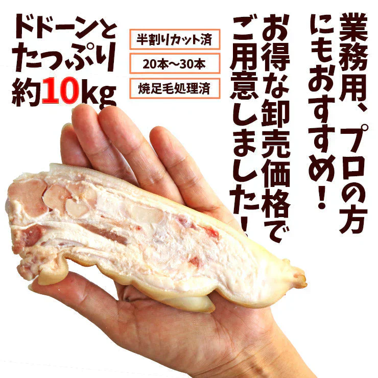 国産 九州 豚足 半割り カット 済み    冷凍 約10kg20〜30本前後 焼足毛処理済