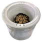 猫草 水耕栽培 ねこ草栽培セット（10回分）種20g ジフィ10個 容器2個[発送は翌年1月～となります。]
