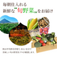 送料無料 野菜セット 10品セット おまかせ野菜セット 野菜詰め合わせ お試し野菜セット 西日本野菜セット フードロス 岡山 複袋 福袋 送料込 も ったいない 人気 安い 野菜宅配 おすすめ プレゼント ギフト 実用的 父の日 ギフト 福袋 お正月