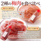 賞味期限2025年2月28日 はちみつ入り＆かつお☆紀州産南高梅のおいしい梅肉2本セット メール便