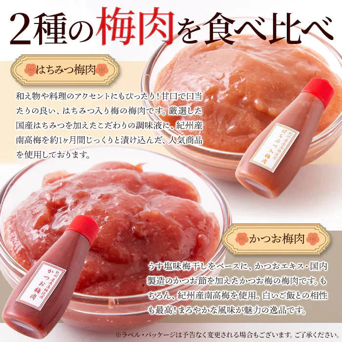 賞味期限2025年2月28日 はちみつ入り＆かつお☆紀州産南高梅のおいしい梅肉2本セット メール便