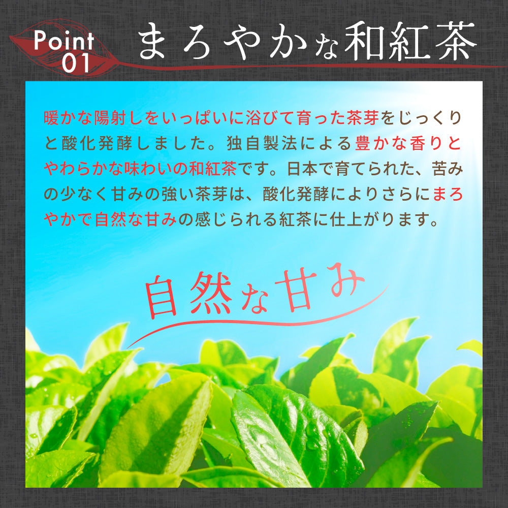 ノンカフェイン 和紅茶 4g×32個 和紅茶 ティーバッグ ノンカフェイン紅茶 国産 水出し紅茶 紅茶 紅茶ティーバッグ ティーパック お茶 静岡県産 パック ティーバック 水出し OK 冷茶 ホット