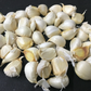 【良品】青森県産ホワイト六片種にんにく バラ 500g【高糖度】