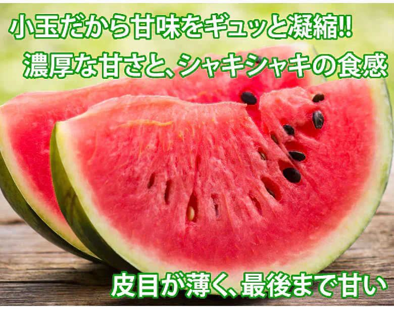 すいか 送料無料 小玉すいか ひとりじめ 秀品2玉 約2～3kg 西瓜 スイカ 熊本県産 お取り寄せ フルーツ