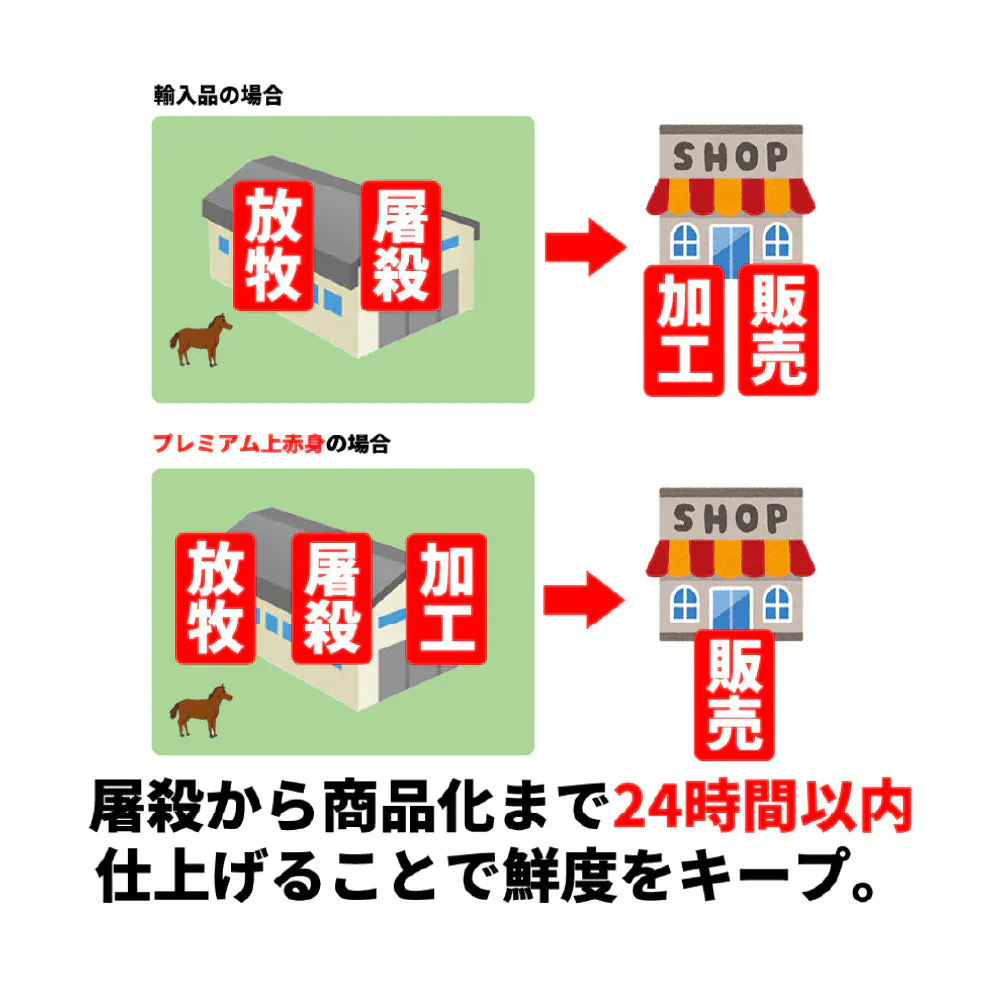 【馬肉】馬刺し （赤身） 10人前 500g（不定貫） 馬刺し 馬肉 赤身 刺身