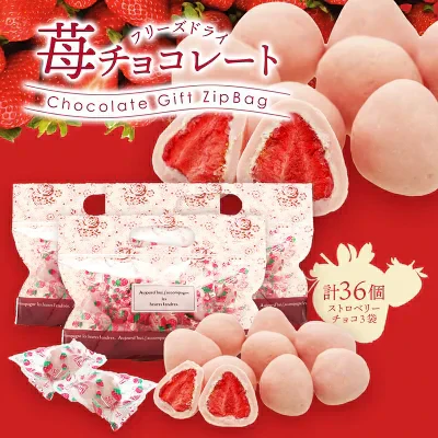フリーズドライ苺チョコ ストロベリー 12個×3P 苺チョコ ［基本冷蔵/冷凍も可］【送料無料】【3～4営業日以内に出荷】［賞味期限：2024年6月30日］ チョコレート おしゃれ オシャレ かわいい 可愛い ギフト