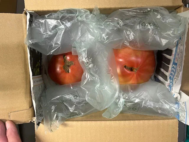 【予約販売/9月中旬〜10月中旬頃より順次発送開始予定】トマト 🍅700g 常温便配送 (トマト・ミディトマト・ミニトマトなど種類は出品者おまかせ) 60サイズ【北海道・東北・沖縄配送不可】【カウシェファーム収穫対象商品】