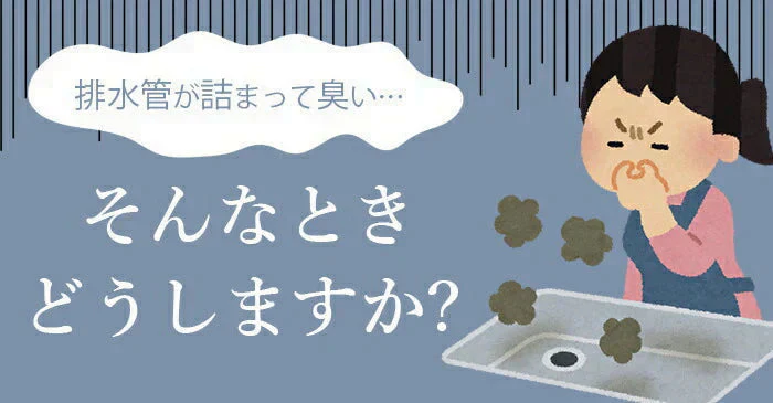 【ヌメリや悪臭を強力に解消】排水口 ヌメリ取り 洗剤 排水溝 排水管 パイプクリーナー パイプ洗浄剤 掃除 ニオイ 匂い対策 / えひめAI-1