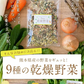 9種の国産野菜 乾燥野菜 完全無添加 完全国産 熊本県産 100g 野菜セット スープ 味噌汁 インスタント やさい 栄養 ドライベジ エアドライ 野菜 詰め合わせ 健康 ブドウ糖不使用《3-7営業日以内に発送予定(土日祝日除く)》