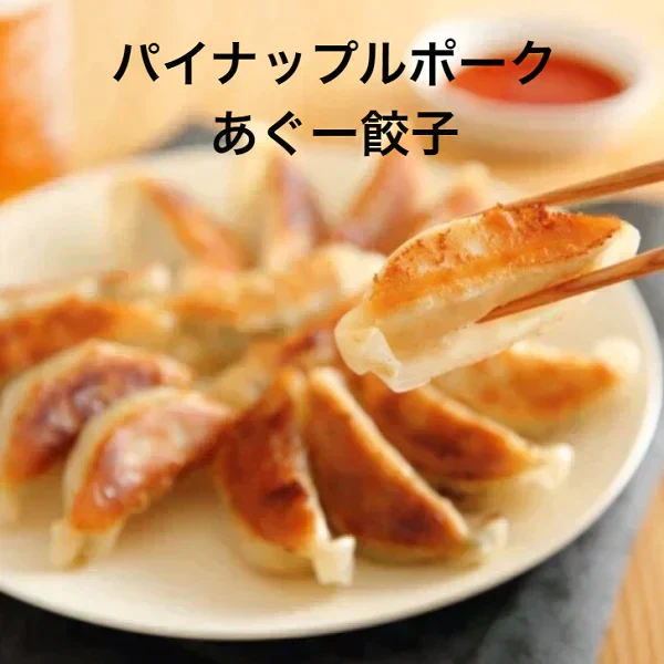 【再入荷】冷凍パイナップルポークあぐー餃子　60個（15個×4）