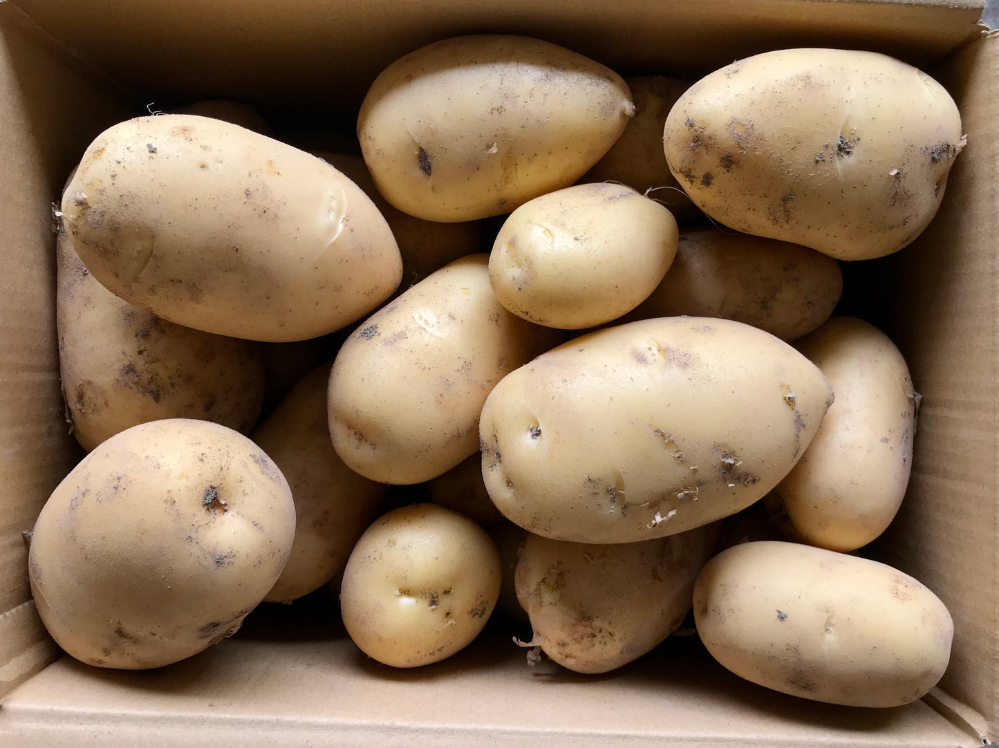 【鹿児島産 】甘塩新ジャガイモ箱込み5キロ^_^