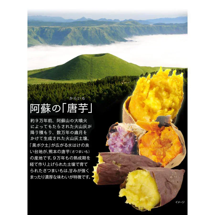 さつまいも 10kg シルクスイート 熊本産 S～2L【2025年1月中旬より発送】
