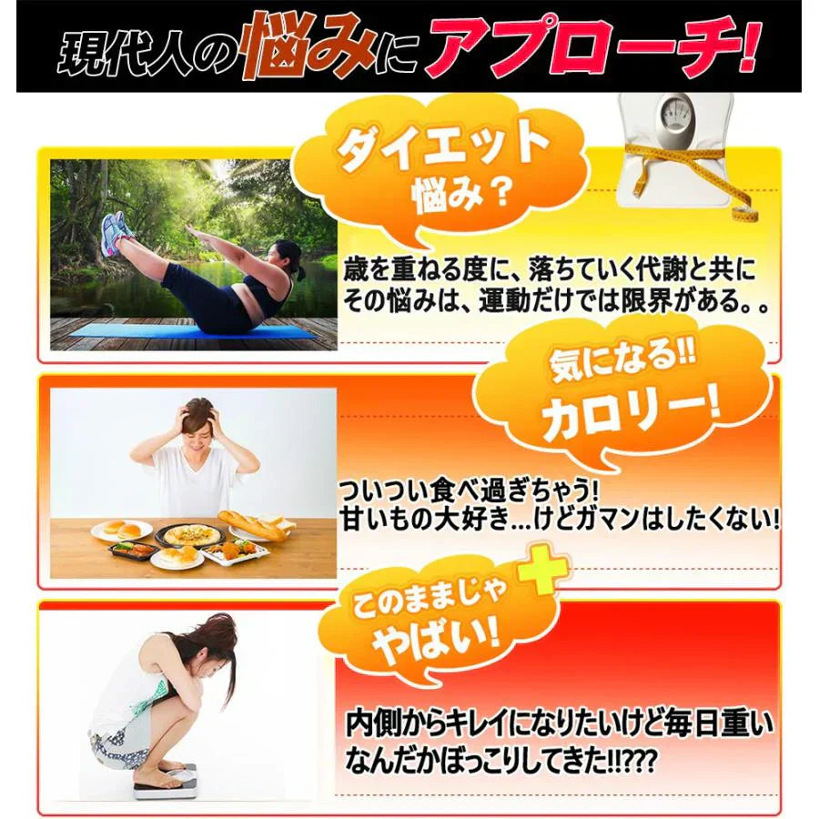 【激安お得12袋セット・9袋＋3袋オマケ】とりあえずコレ! 炭水化物 糖質 脂質 対策 カロリーカット サプリ ダイエットサプリメント 食事制限無し 白いんげん豆 桑の葉 烏龍茶 乳酸菌 キトサン 体脂肪 フラクトオリゴ糖 カロリーゼロ 糖質制限　糖質カット 日本製 食事制限無し おすすめ 人気 ランキング 効果 強力 最強 カロリーゼロ対策 カロリーコントロール　コントロールサプリ カロリーメイト 国産 日本製 白インゲン ランキング おすすめ 健康食品 通販