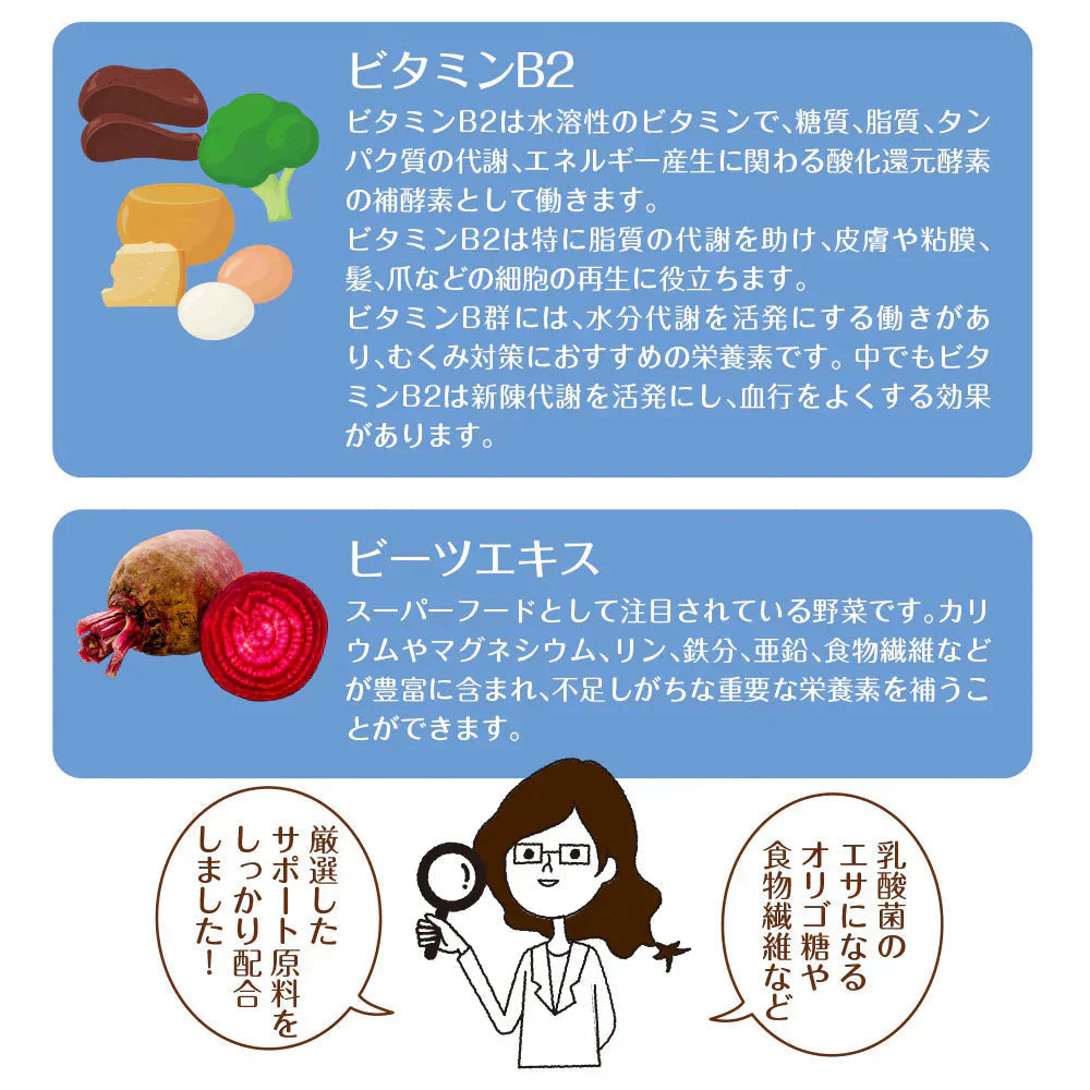 乳酸菌 サプリメント 粉末 33種の乳酸菌 30包入り 乳酸菌 メール便 送料無料 ダイエット 腸活