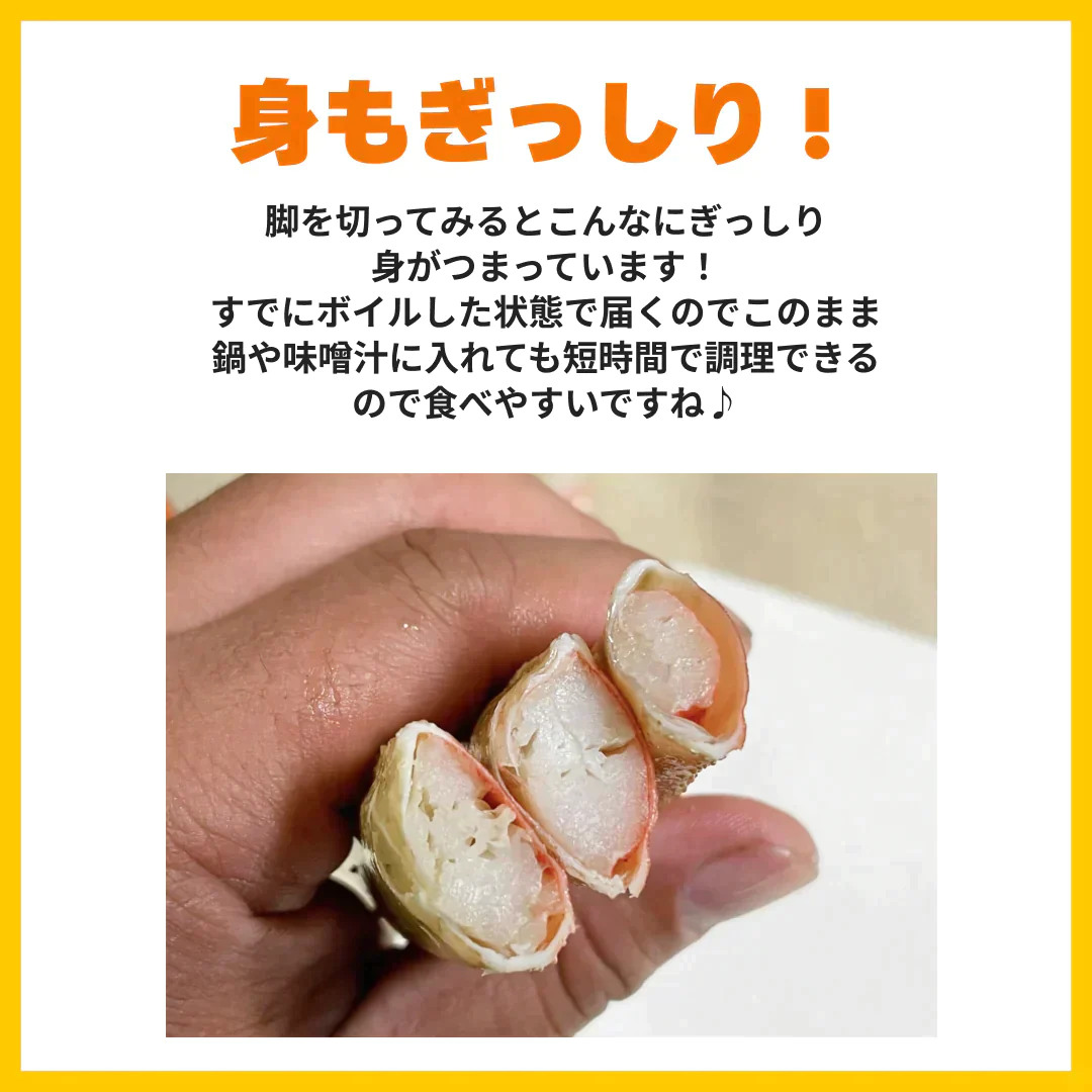 ボイル本ズワイ蟹　5㎏　発泡箱入り（1尾あたり約700g）