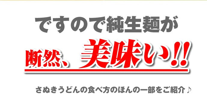 ※これぞ讃岐の真髄!!うちたて純生さぬきうどん（20人前つゆ無し）